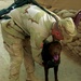 Sgt. McKee Helps Staff Sgt. Archie Into His Work Harness