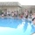 Polar Bear Swim