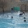 Polar Bear Swim