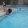 Polar Bear Swim