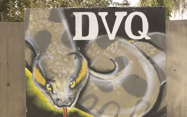 Anaconda takes care of its VIPs