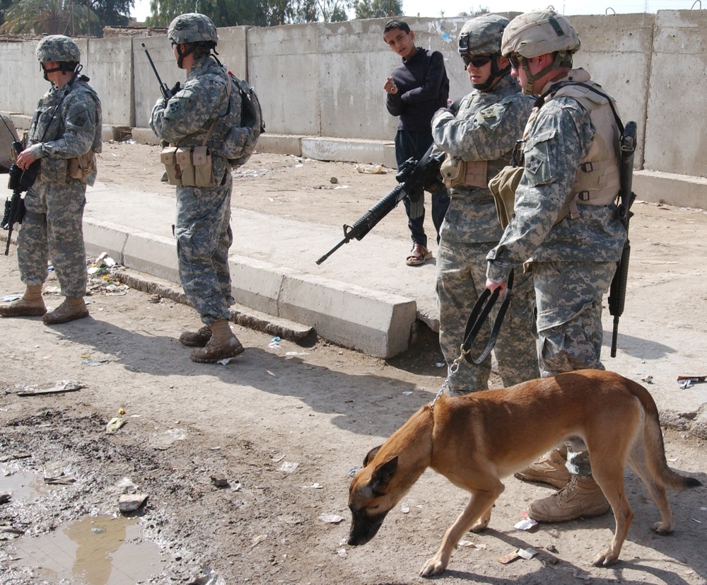 Bongo Assists 2-8 Inf. Search for Caches