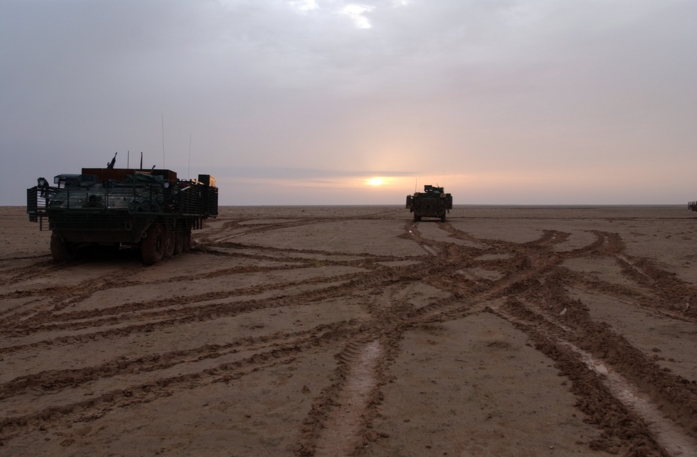Strykers wake up to another morning in the desert