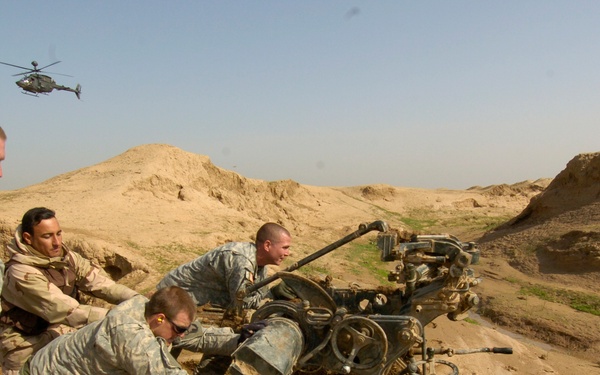 Search Turns up Cache