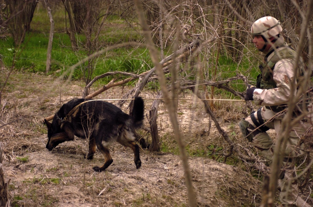 35th Security Forces Squadron Dog Handlers