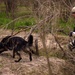 35th Security Forces Squadron Dog Handlers