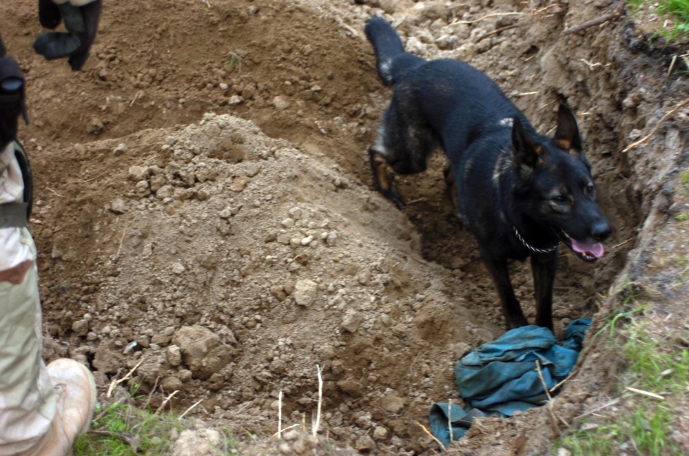 35th Security Forces Squadron Dog Handlers