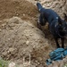 35th Security Forces Squadron Dog Handlers