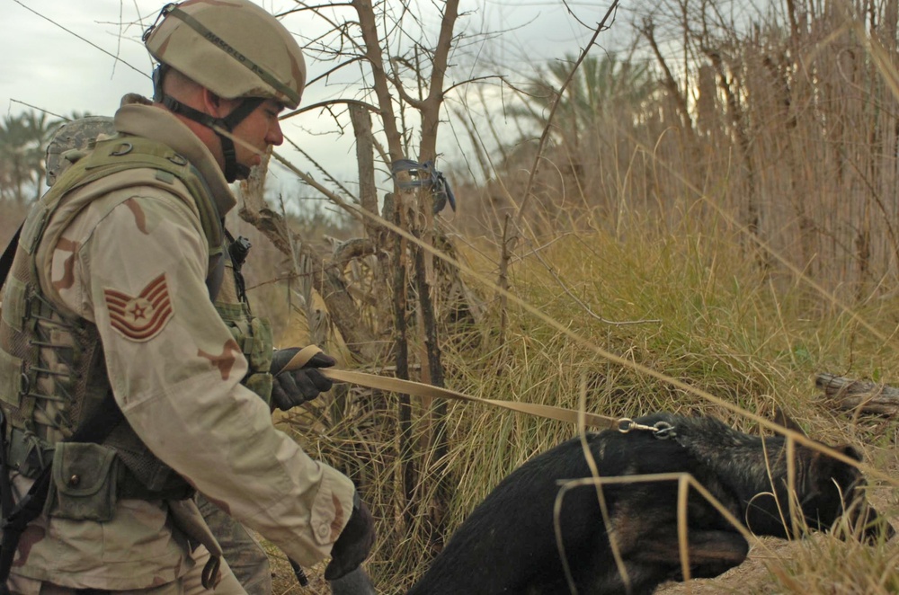 35th Security Forces Squadron Dog Handlers