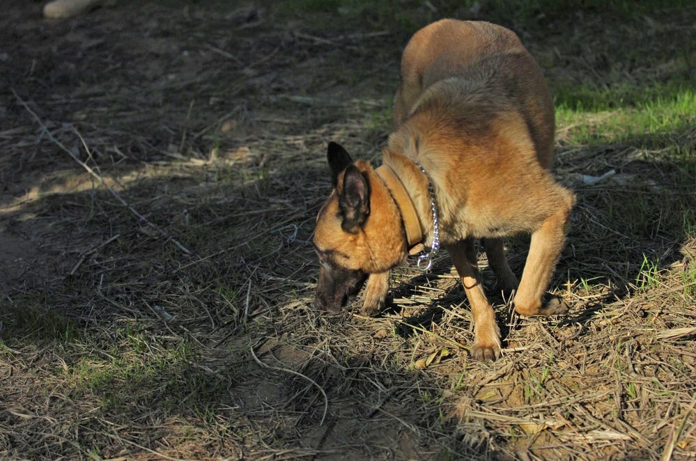 35th Security Forces Squadron Dog Handlers