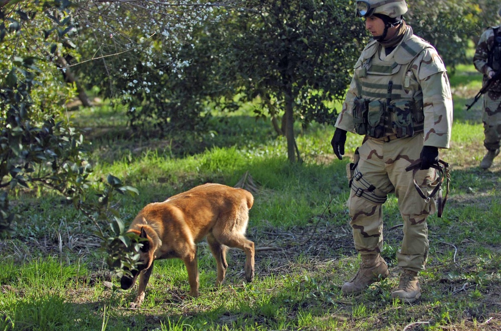 35th Security Forces Squadron Dog Handlers