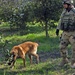 35th Security Forces Squadron Dog Handlers