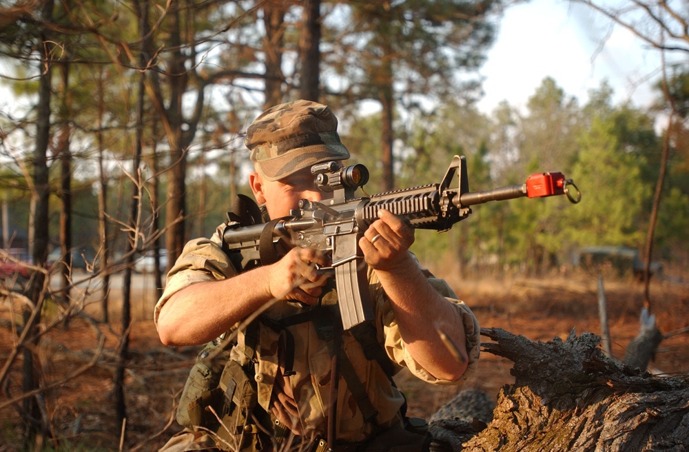 Joint Force Entry Exercise