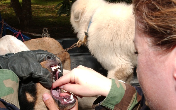 Medical Readiness Training Exercise