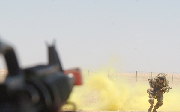 Expert Field Medical Badge