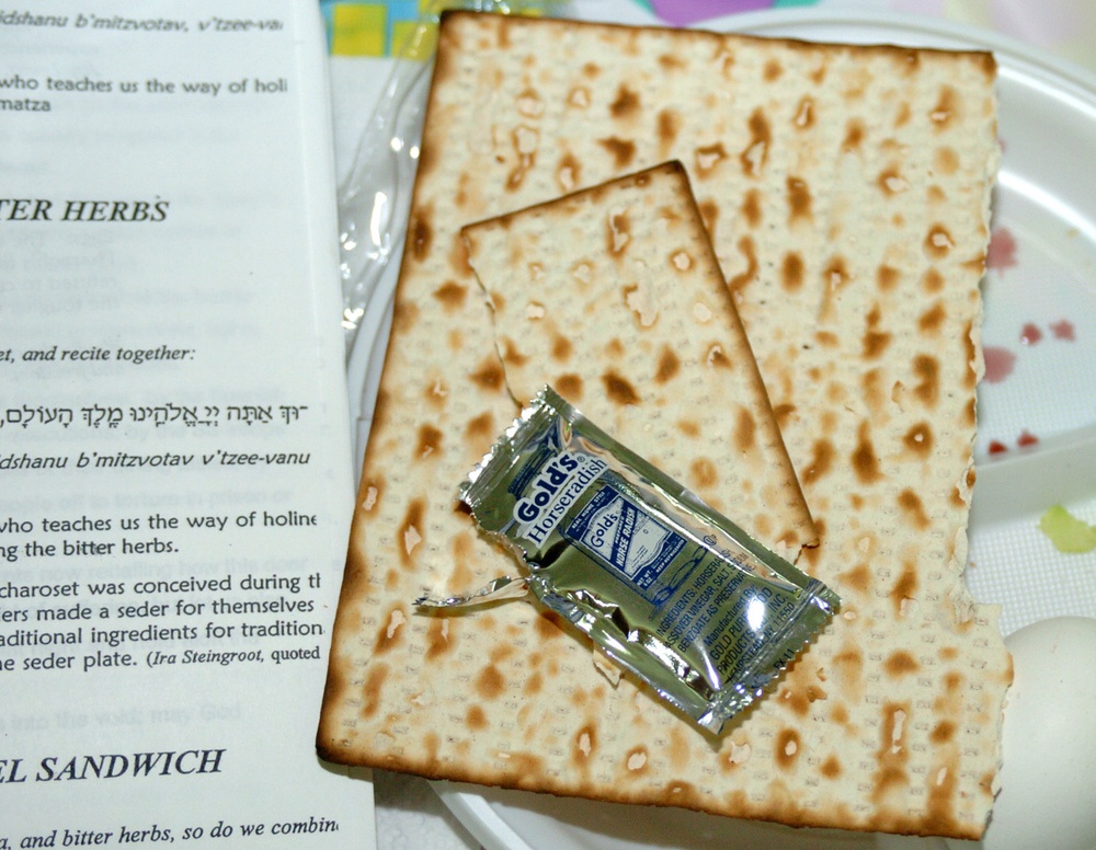 Passover seder