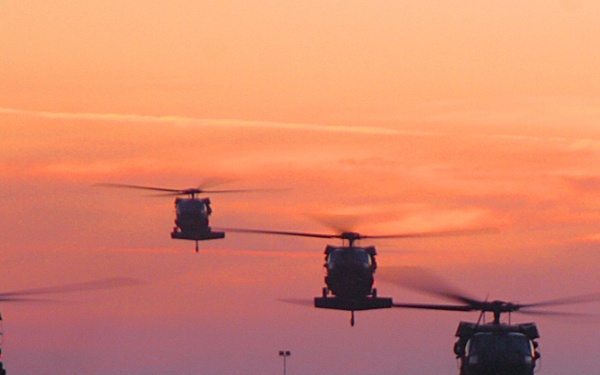 AVCRAD keeps birds in flight