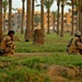 Iraqi Army Taking Control