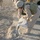 Marine Combat Engineers Repair Iraq's Roadways