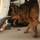 MWD
