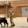 MWD
