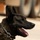 MWD