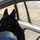 MWD