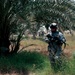 Sister Units Share Iraq Experience, Prep for Transition