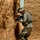 1-33 CAV Operation Starlite