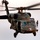 1-33 CAV Operation Starlite