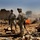 1-33 CAV Operation Starlite