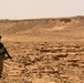 Perimeter Patrol Teams Scan Desert to Keep Al Asad Secure