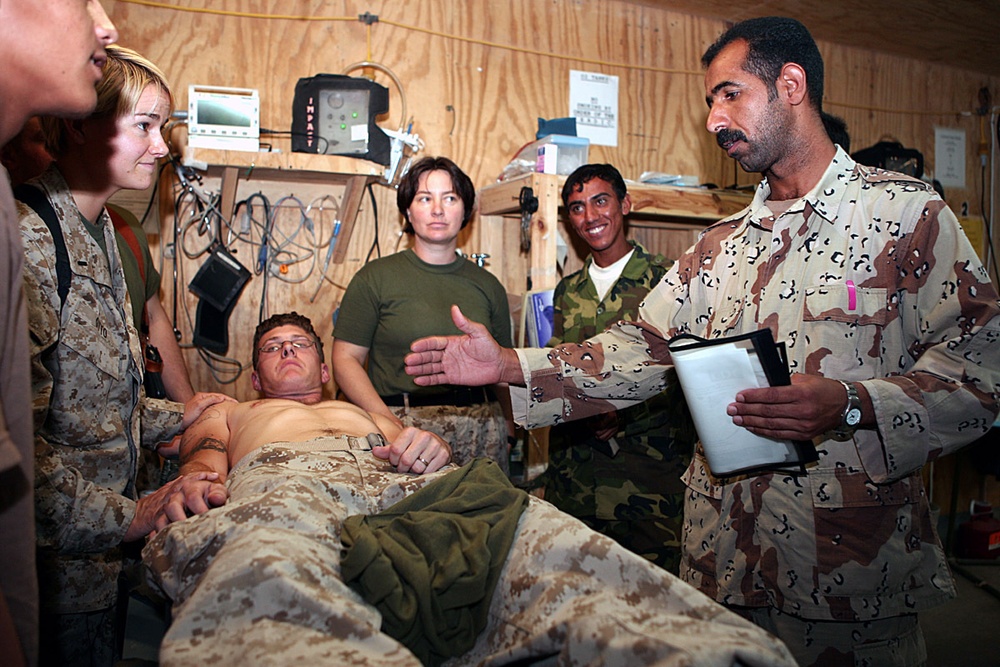 Iraqi nurses, corpsmen learn to fight disease, parasites