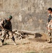 Iraqi security forces conduct Operation Sandstorm in Tal Afar