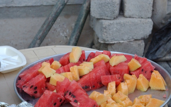 USACE hosts farewell dinner