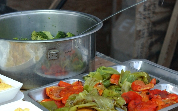 USACE hosts farewell dinner