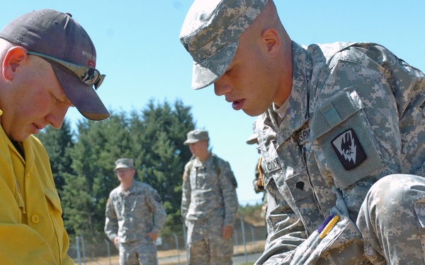 Soldiers Respond to Forest Fire