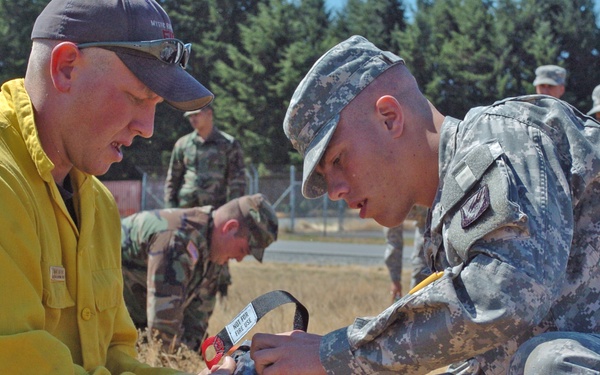 Soldiers Respond to Forest Fire