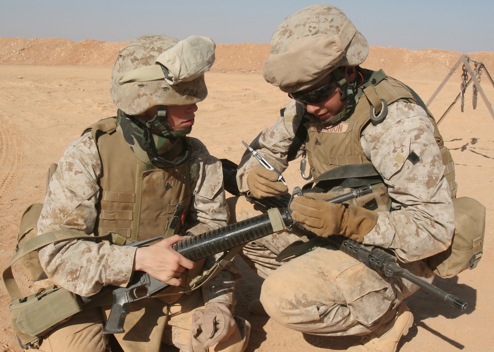 Marine lionesses train for Iraq border security