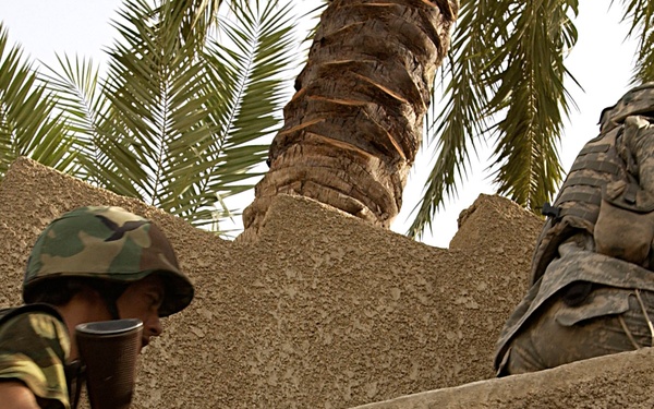 INPs and US Troops Climb to Rooftop