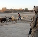 Car searches bring safety to Iraqi villages