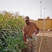 Soldier Uses Personal Time to Grow Garden In Iraq