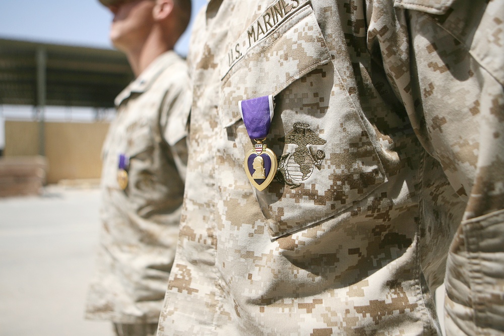 DVIDS News Purple Heart recipients appreciative of their