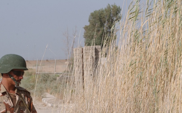 A soldier in desert camouflage uniform stands along a dirt road beside tall dry reeds or grass. He is holding an assault rifle and appears to be on patrol or conducting a security sweep of the vegetation. A flag patch is visible on his left shoulder sleeve.
