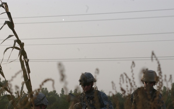 Three military personnel in combat uniforms and helmets are moving through or alongside a field with tall dry vegetation in the foreground. The image appears to depict a ground patrol in a rural agricultural area, with power lines visible in the background. The lighting is overcast and dim, suggesting either early morning or late evening conditions.