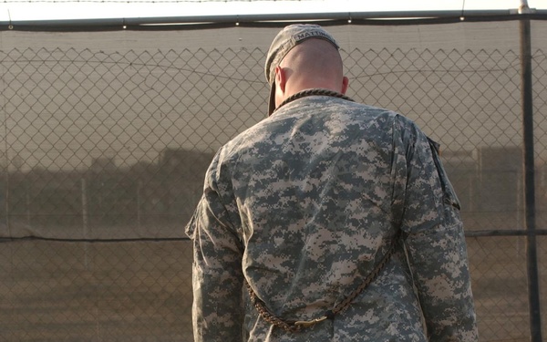 Man's best friend or fearless watchdog