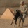 Man's best friend or fearless watchdog Man's best friend or fearless watchdog