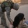 Man's best friend or fearless watchdog Man's best friend or fearless watchdog