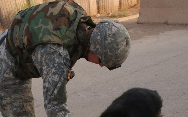 Man's best friend or fearless watchdog
