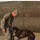 Man's best friend or fearless watchdog Man's best friend or fearless watchdog